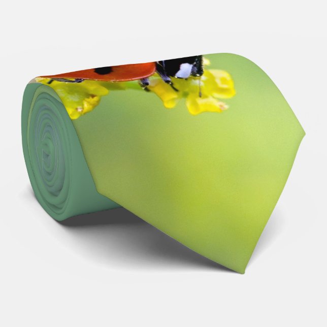 Cravate femme au sommet (Roulé)