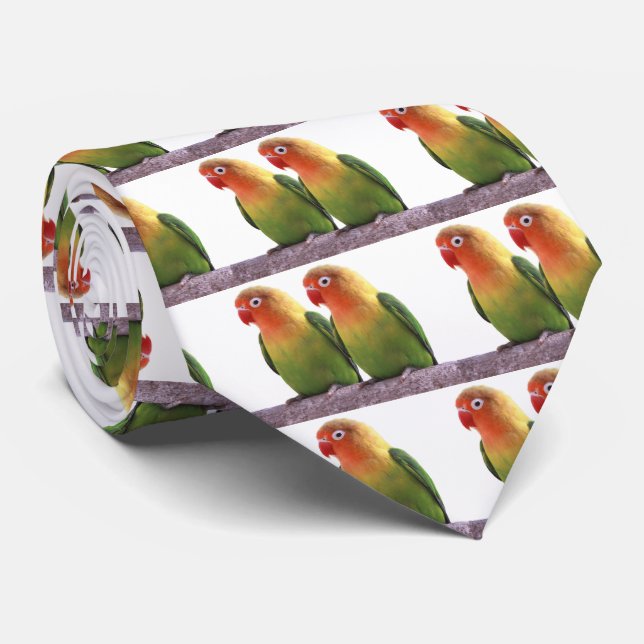 Cravate Fischer's Lovebird (Roulé)