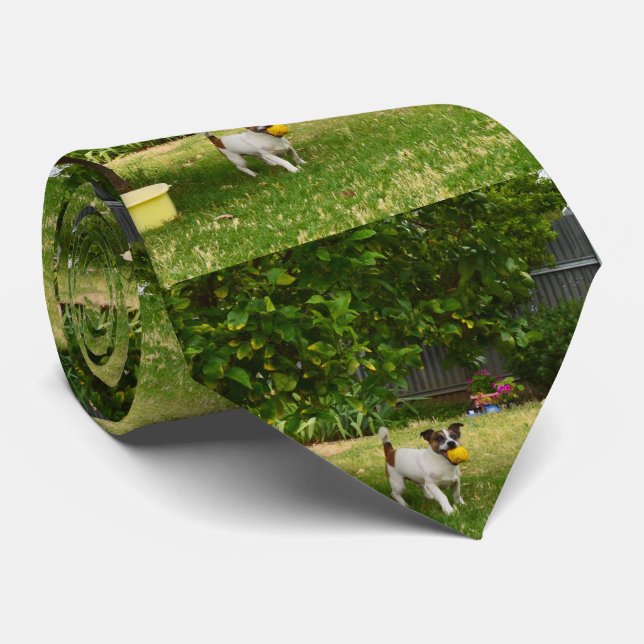 Cravate Fox Terrier Joyeux Jours, (Roulé)