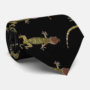 Cravate geckos