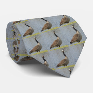 Cravate Goose par pond tie