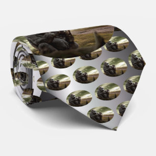 Cravate Gorilla prend la tablette