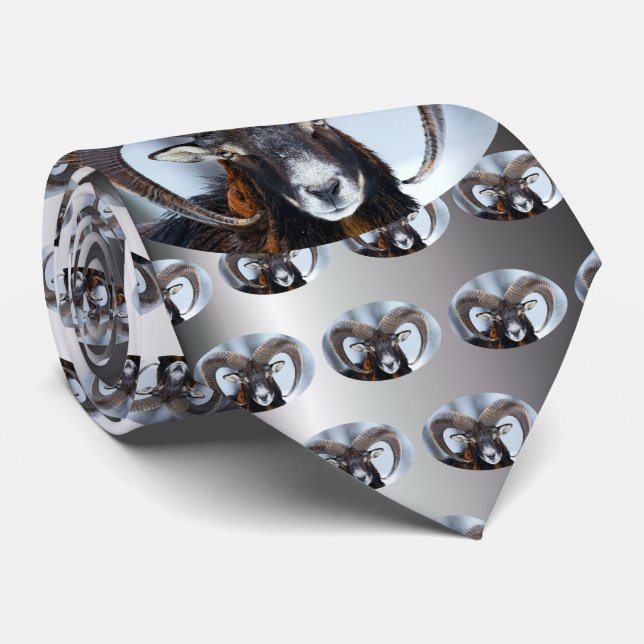 Cravate Gros mouton de bélier à corne - Mouflon (Roulé)