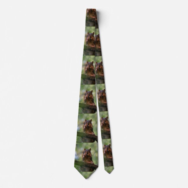 Cravate Harmonica Squirrel (Devant)