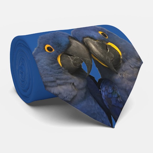 Cravate Hyacinth Macaw (Roulé)