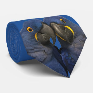 Cravate Hyacinth Macaw Parrot Bird Rare Blue