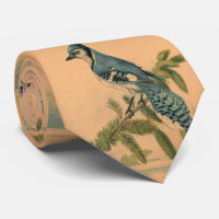 Illustration vintage d'un Jay bleu (1880)