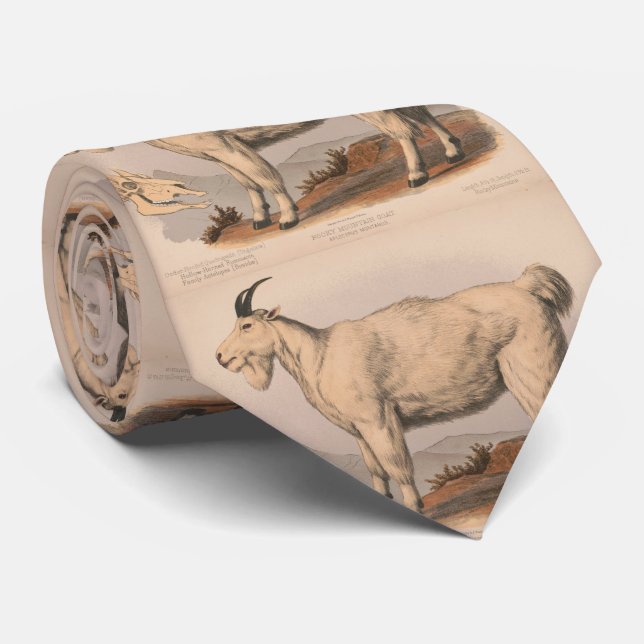 Cravate Illustration vintage d'une chèvre (1874) (Roulé)