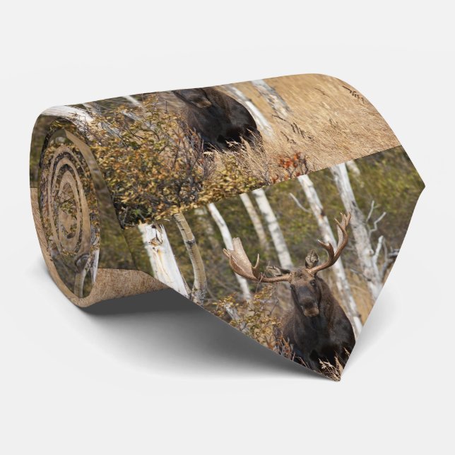 Cravate Impressionnant orignal (Roulé)