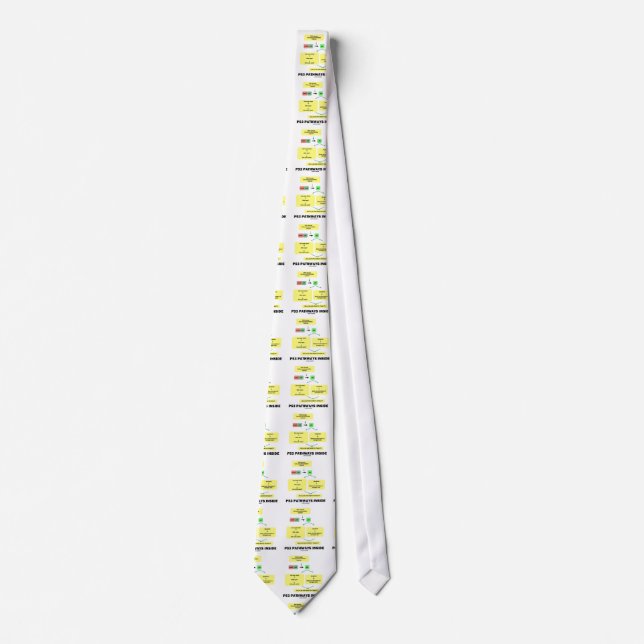 Cravate Intérieur des voies P53 (biologie moléculaire de (Devant)