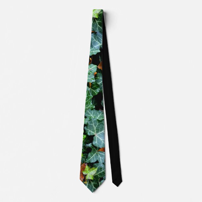 Cravate Ivy and field stone neck tie (Devant)
