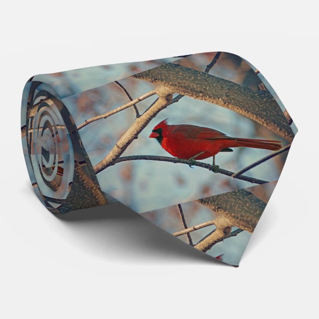 Cravate Joli garçon Homme Cardinal (Roulé)