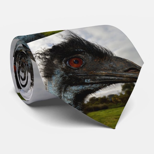 Cravate "Jumelage dans l’oeil : un regard curieux d’Emu" (Roulé)