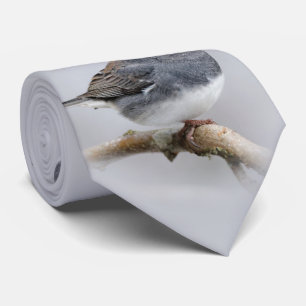 Cravate Junco à ardoise foncée sur l'arbre à poires