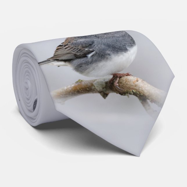 Cravate Junco à ardoise foncée sur l'arbre à poires (Roulé)