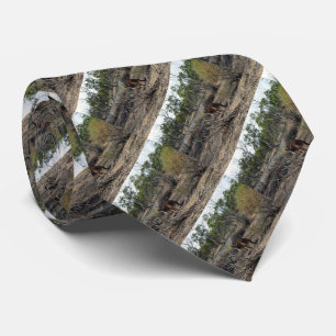 Cravate Kangaroo Pendant Ce Temps Sur Le Billabong,