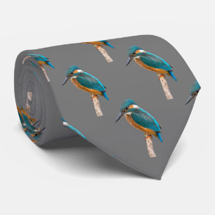 Cravate Kingfisher
