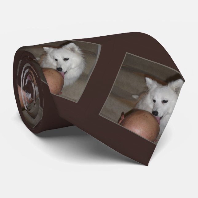 Cravate La cravate, chauve est belle, des répétitions de (Roulé)