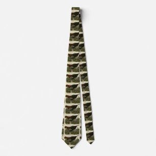 Cravate La Turquie sauvage des oiseaux d'Amérique d'Audubo