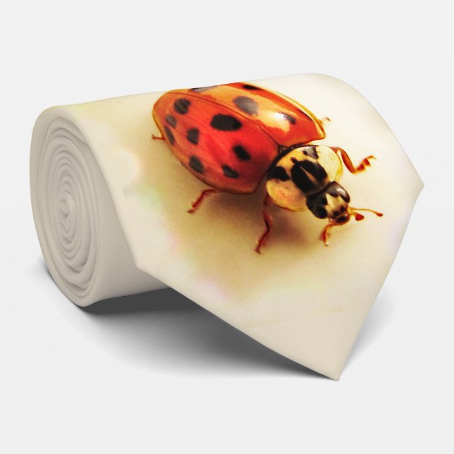 Cravate Ladybug Tie (Roulé)