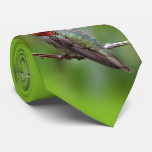 Cravate Le colibri d'Anna : Ce roi porte une couronne rose