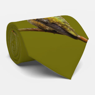 Cravate Le colibri d'Anna sur la Trumpetvine écarlate