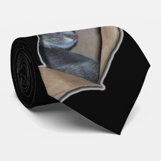 Cravate Le coup d'oeil I voient pour miauler