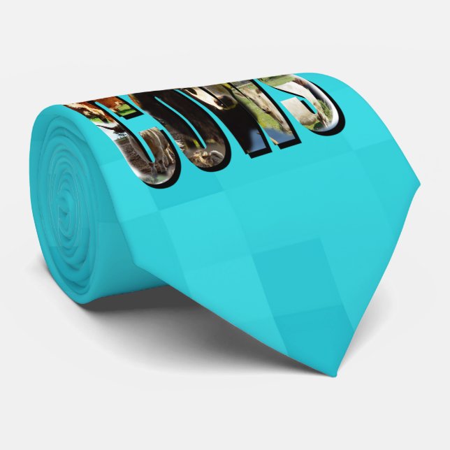 Cravate Logo Aqua Blue Cows Avec Vaches, (Roulé)