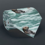 Cravate Loutre de mer de observation<br><div class="desc">Une loutre de mer maintient un oeil de lynx pour le danger dans prince William Sound de l'Alaska. Par Ted Raynor</div>