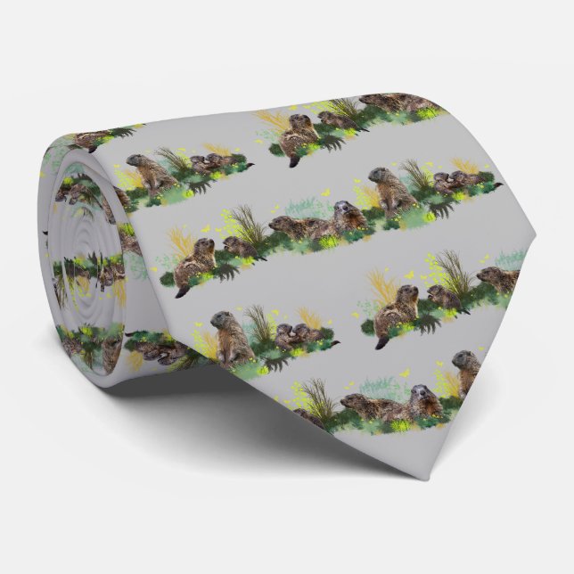 Cravate Marmot Meadow Tie (Gris) (Roulé)