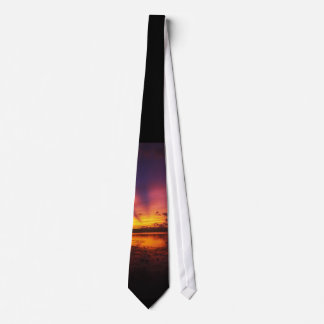 Cravate MeddockPhoto_NeckTie_Art