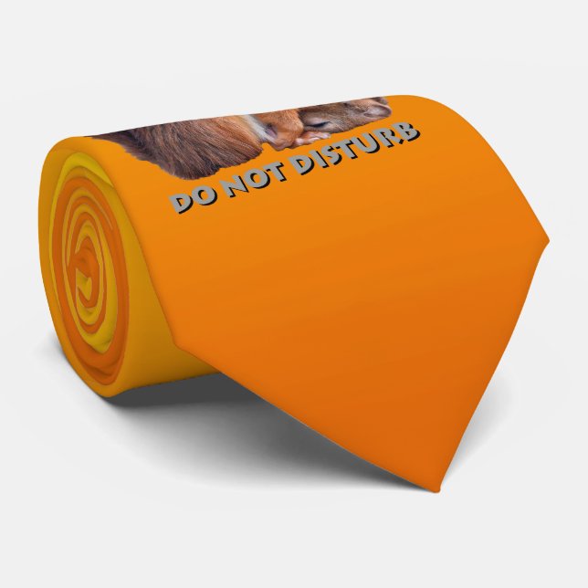 Cravate Ne Pas Déranger (Jaune/Orange) (Roulé)
