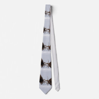 Cravate Necktie d'Elk