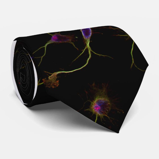 Cravate NeuroRootsTie (Roulé)