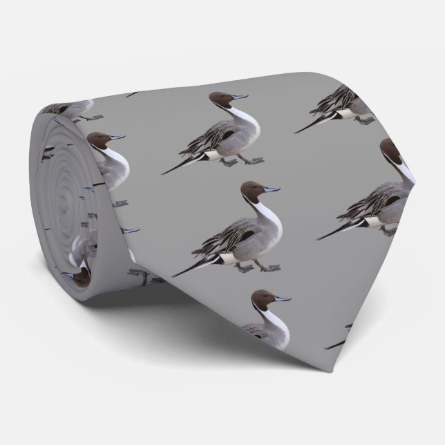 Cravate Northern Pintail (Roulé)