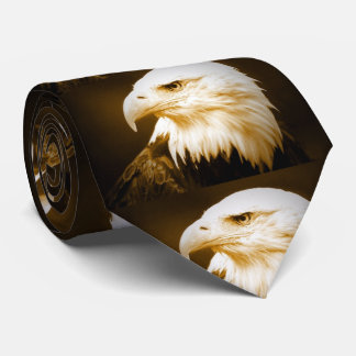 Cravate OEil d'aigle américain