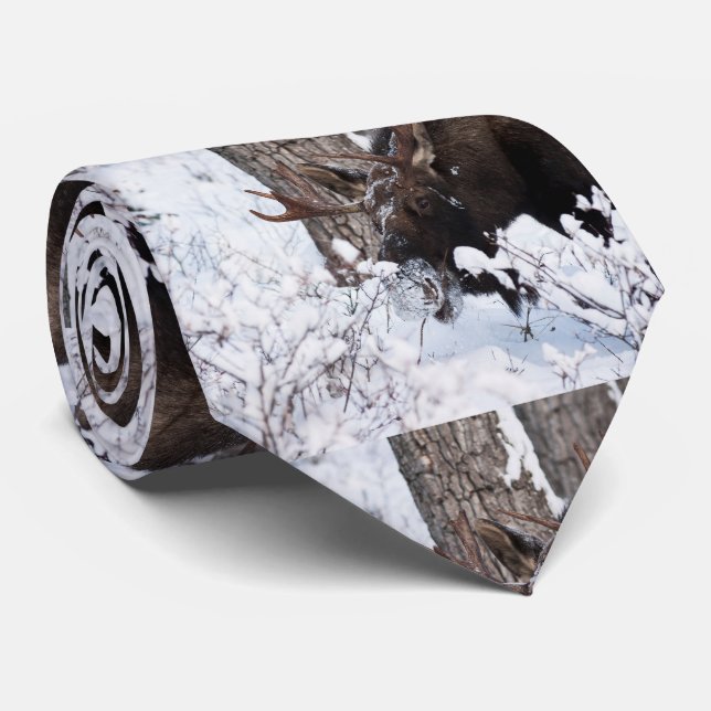 Cravate Orignaux frais (Roulé)