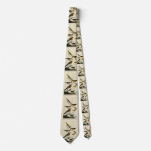 Cravate Orioles, Thrushes, des oiseaux d'Amérique d'Audubo