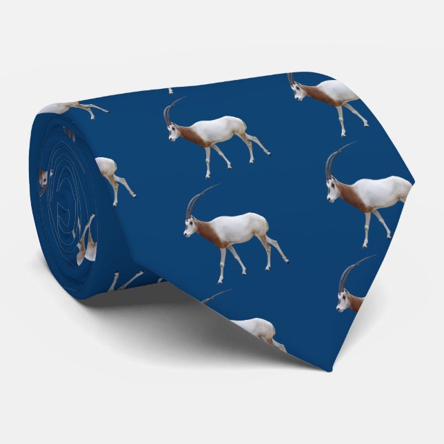 Cravate Oryx blanc (Roulé)