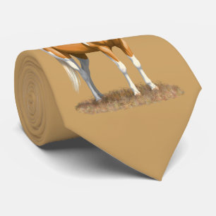 Cravate Palomino Pinto Quartier Cheval Paint Horse Stallio