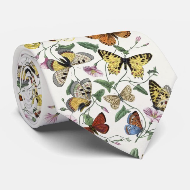 Cravate Papillon et papillon de Paul Gervais (Roulé)