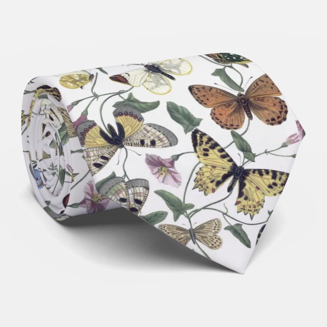 Cravate Papillon et papillon vintage (Roulé)