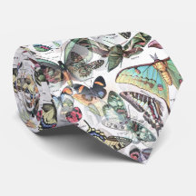 papillon été, nature