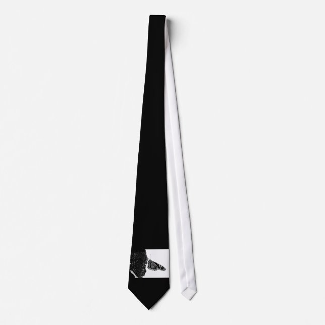 Cravate papillon timide blacq (Devant)