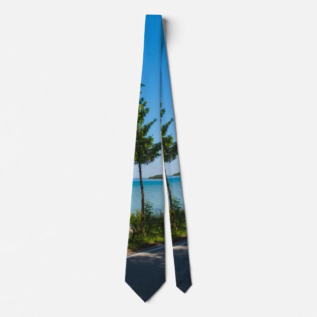Cravate Paradis de Lake Shore Drive Neck Tie (Devant)