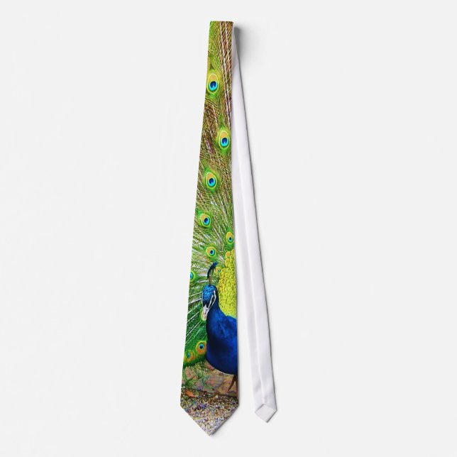 Cravate Peacock (Devant)