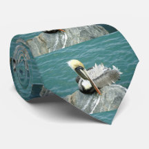 Pélican se reposant