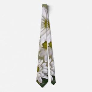 Cravate Petite marguerite levrette