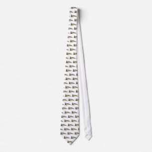 Cravate Phoque marin à La Jolla Californie