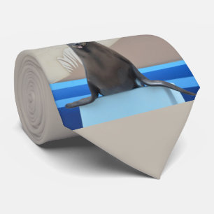 Cravate Phoque (otarie de la Californie)